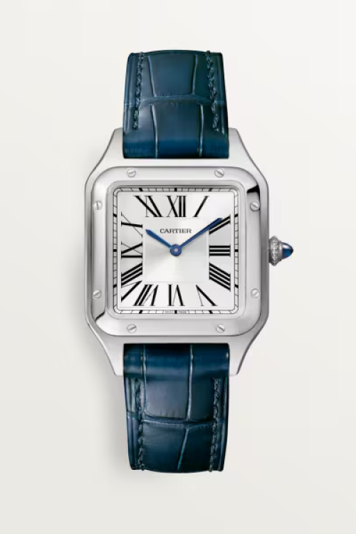 Cartier Santos-Dumont de Cartier Stainless Steel 38mm x 275mm WSSA0023
