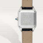 Cartier Santos-Dumont de Cartier Stainless Steel 38mm x 275mm Ref WSSA0023 WSSA0023-8.jpg