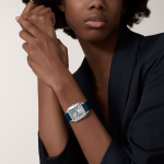 Cartier Santos Dumont de Cartier Stainless Steel 435mm x 314mm Ref WSSA0022 WSSA0022-11.jpg