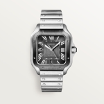 Cartier Santos de Cartier Stainless Steel 398mm Ref WSSA0037 WSSA0037-1.jpg