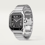 Cartier Santos de Cartier Stainless Steel 398mm Ref WSSA0037 WSSA0037-6.jpg