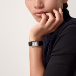 Cartier Tank Must de Cartier Small Stainless Steel 295mm x 22mm Ref WSTA0042 WSTA0042-5.jpg