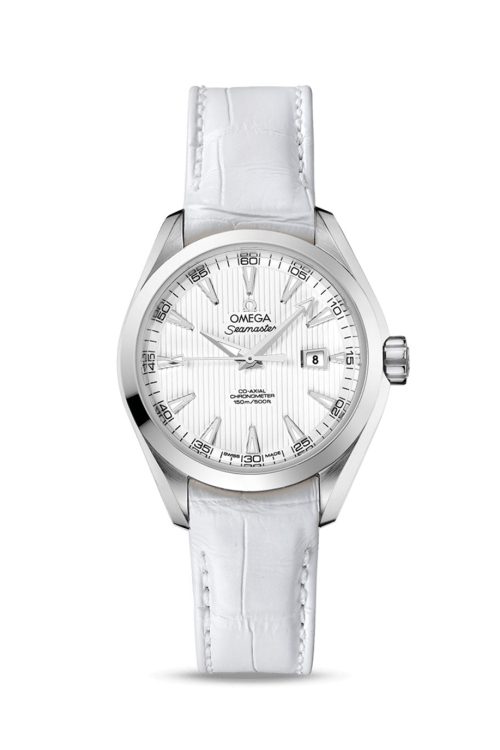 Omega Seamaster AQUA TERRA 150M COAXIAL CHRONOMETER 231.13.34.20.04.001