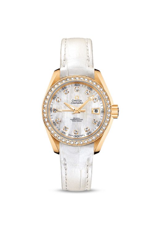 Omega Seamaster AQUA TERRA 150M COAXIAL CHRONOMETER 231.58.30.20.55.002