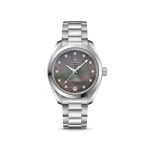 Omega Seamaster AQUA TERRA 150M COAXIAL MASTER CHRONOMETER Ref 22010342057001 22010342057001-1.jpg