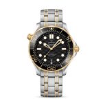 Omega Seamaster DIVER 300M COAXIAL MASTER CHRONOMETER Ref 21020422001002 21020422001002-1.jpg