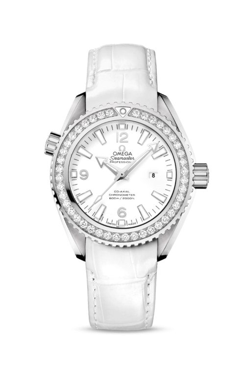 Omega Seamaster PLANET OCEAN 600M COAXIAL MASTER CHRONOMETER 232.18.38.20.04.001