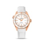 Omega Seamaster PLANET OCEAN 600M COAXIAL MASTER CHRONOMETER Ref 23263382004001 23263382004001-1.jpg