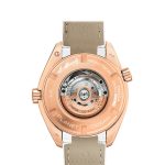 Omega Seamaster PLANET OCEAN 600M COAXIAL MASTER CHRONOMETER Ref 23263382004001 23263382004001-2.jpg