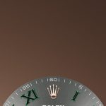 Rolex Datejust 36 Oystersteel and Everose gold Ref 126231-0030 126231-0030-2.jpg