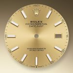 Rolex Datejust 41 18k Yellow Gold and Stainless Steel 41mm Ref 126303-0010 126303-0010-2.jpg