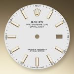 Rolex Datejust 41 18k Yellow Gold and Stainless Steel 41mm Ref 126303-0016 126303-0016-2.jpg