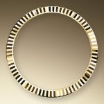 Rolex Datejust 41 18k Yellow Gold and Stainless Steel 41mm Ref 126333-0016 126333-0016-3.jpg