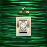 Rolex Datejust 41 18k Yellow Gold and Stainless Steel 41mm Ref 126333-0016 126333-0016-5.jpg