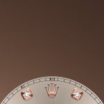 Rolex Datejust 41 Oystersteel and Everose gold Ref 126301-0008 126301-0008-2.jpg