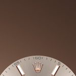 Rolex Datejust 41 Oystersteel and Everose gold Ref 126301-0009 126301-0009-2.jpg