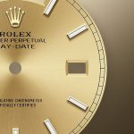 Rolex Day-Date 40 Yellow gold Ref 228348RBR-0008 228348RBR-0008-2.jpg
