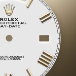 Rolex Day-Date 40 Yellow gold Ref 228348RBR-0034 228348RBR-0034-2.jpg
