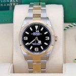 Rolex Explorer 18k Yellow Gold and Stainless steel 36mm Ref 124273-0001 2024 124273-0001 2024-1.jpg