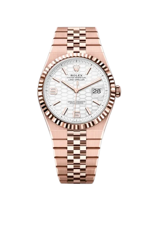 Rolex Land-Dweller 40mm Oyster Everose gold M127335-0001 40mm