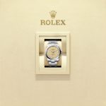 Rolex Oyster Perpetual Oystersteel 41mm Beige dial Domed Oyster Ref 134300-0007 134300-0007-6.jpg