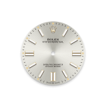 Rolex Oyster Perpetual Oystersteel 41mm Silver dial Domed Oyster Ref 134300-0001 134300-0001-2.jpg