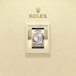 Rolex Oyster Perpetual Oystersteel 41mm Silver dial Domed Oyster Ref 134300-0001 134300-0001-4.jpg