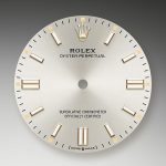 Rolex Oyster Perpetual Stainless Steel 36mm Ref 126000-0001 126000-0001-2.jpg