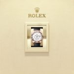 Rolex Sky-Dweller 42mm 18k Everose Gold Ref 336235-0003 336235-0003-5.jpg