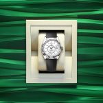 Rolex Sky-Dweller 42mm 18k White Gold Ref 336239-0003 336239-0003-5.jpg