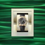 Rolex Sky-Dweller 42mm 18k Yellow Gold Ref 336238-0002 336238-0002-5.jpg