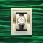 Rolex Sky-Dweller 42mm 18k Yellow Gold Ref 336238-0003 336238-0003-3.jpg