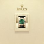 Rolex Sky-Dweller 42mm 18k Yellow Gold Ref 336238-0004 box papers 336238-0004 box papers-4.jpg