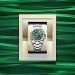 Rolex Sky-Dweller 42mm Oystersteel and 18k White Gold Green Oyster Ref 336934-0001 336934-0001-5.jpg