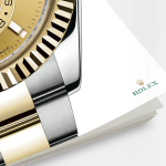 Rolex Sky-Dweller 42mm Oystersteel and 18k Yellow Gold Ref 326933-0001 326933-0001-5.jpg